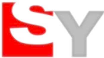 Công Ty TNHH Điện Tử Sin Young Việt Nam